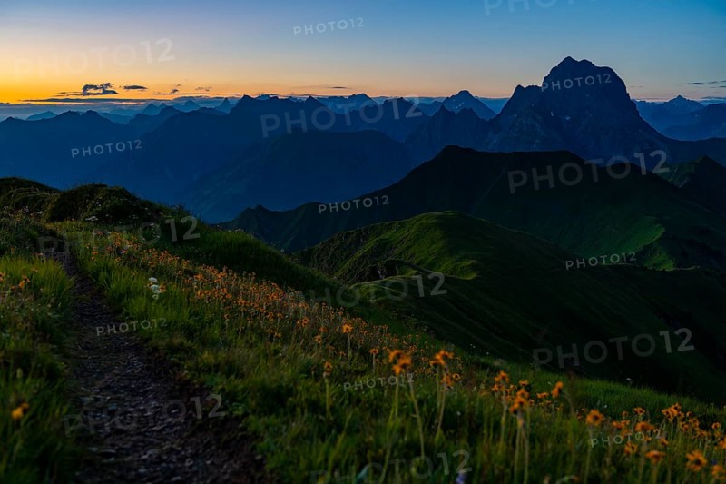 Small mountain trail with flower meadow at sunrise