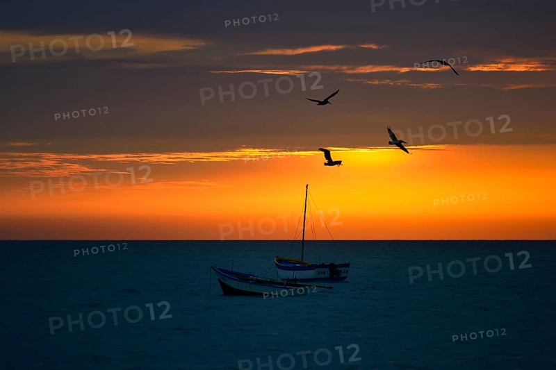 Fishing boats and pelicans at sunset with clouds over the Pacific Ocean
