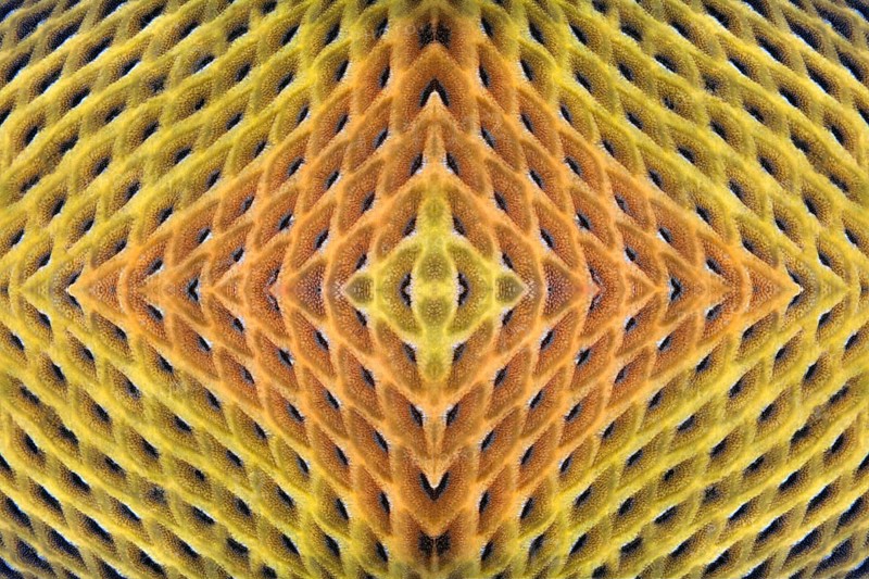 PHOTOMONTAGE
