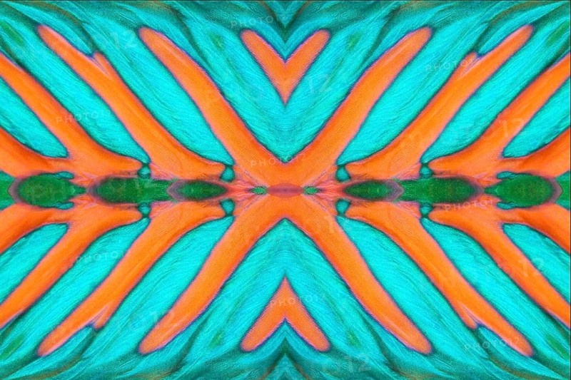 PHOTOMONTAGE