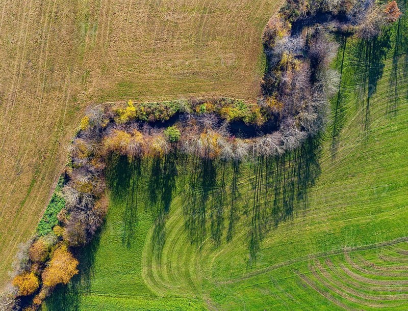 Autumnally discoloured deciduous trees with shadows along the Fuschler Ache