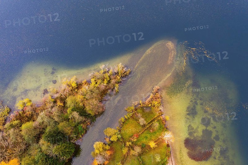 River delta of the Wangauer Ache into the Mondsee with autumnally discoloured mixed forest