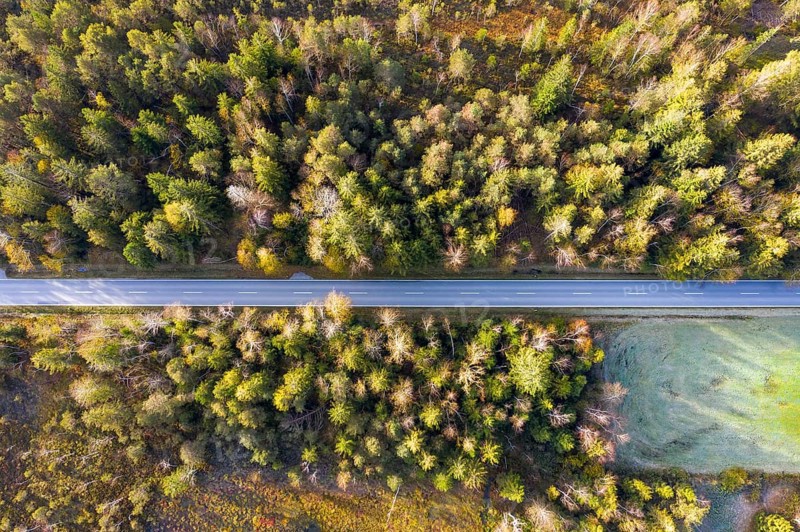 Country road through the Koenigsdorfer Moor near Koenigsdorf