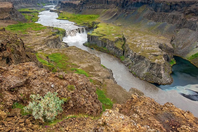 Waterfall falls from green volcanic plain over basalt columns into a canyon