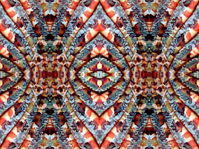 PHOTOMONTAGE