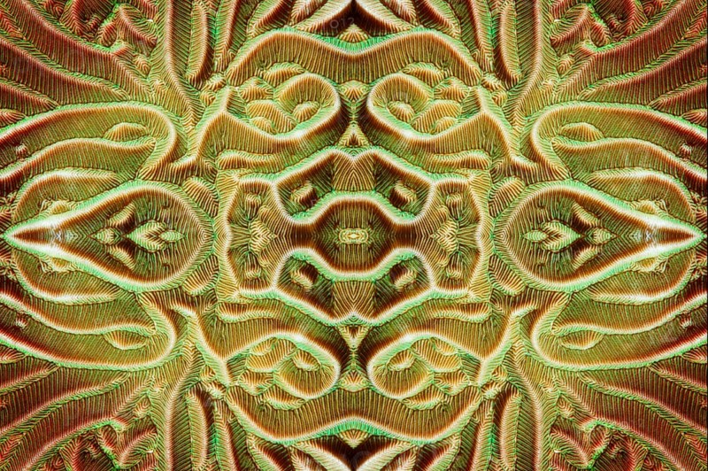 PHOTOMONTAGE