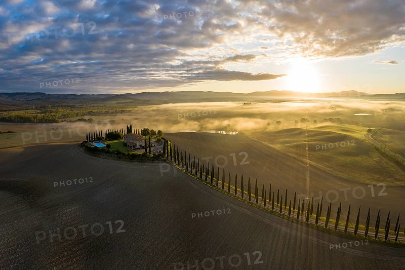 Country estate Poggio Covili with cypress avenue