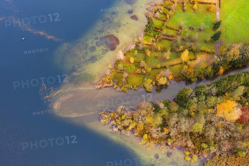 River delta of the Wangauer Ache into the Mondsee with autumnally discoloured mixed forest