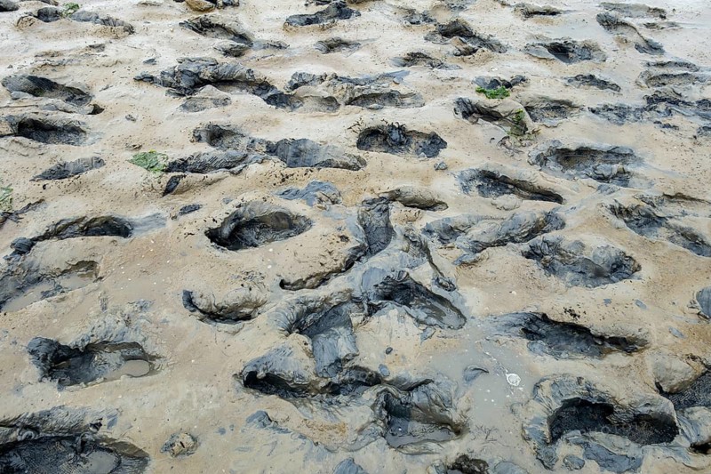 Footprints in the mudflats