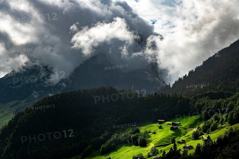 Mountain huts in sunny spot on mountain meadow with mountain forest behind