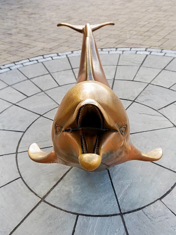 Bronze sculpture of Dolphin Fungie