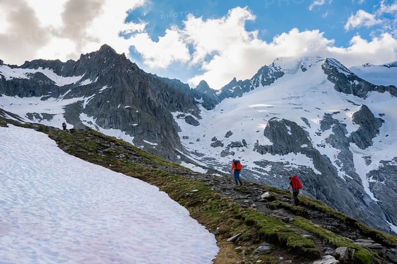 Snow field
