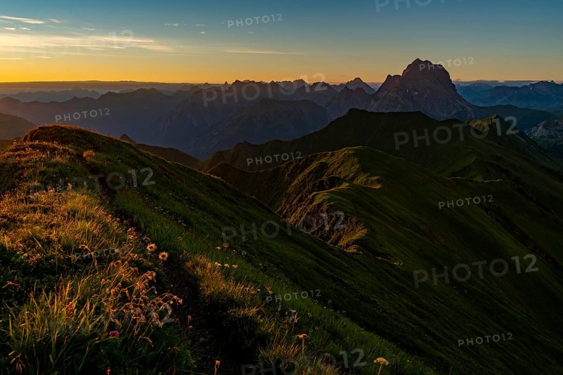 Small mountain path with flower meadow and Allgaeu Alps behind it at sunrise