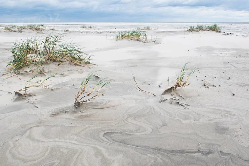 Foreshore dunes on Juist