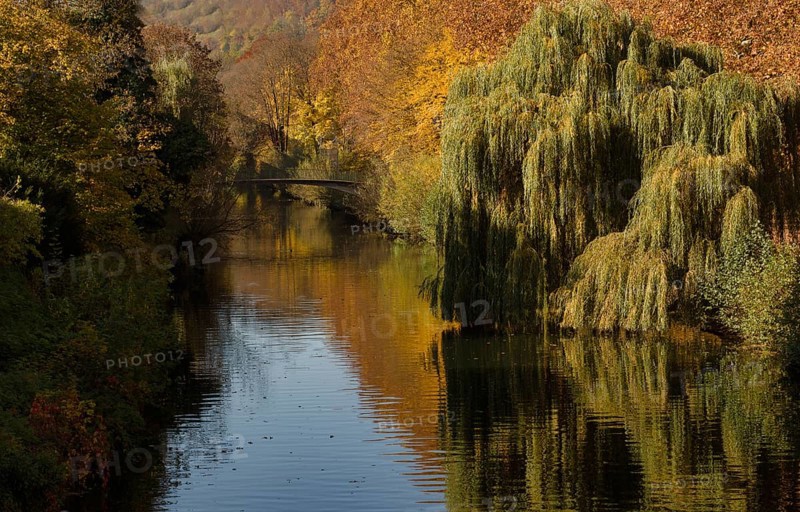 Bridge over side arm of the Neckar