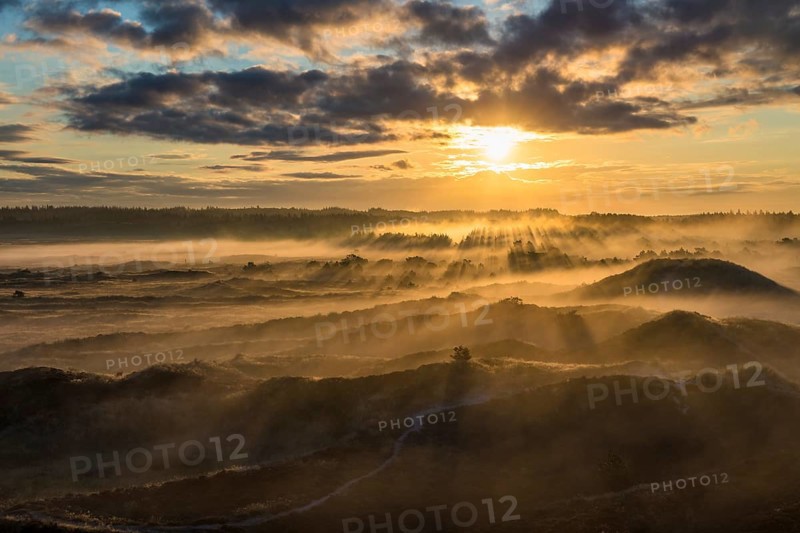 Sunrays penetrate the early morning fog over heath landscape