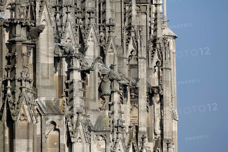Ulm Cathedral