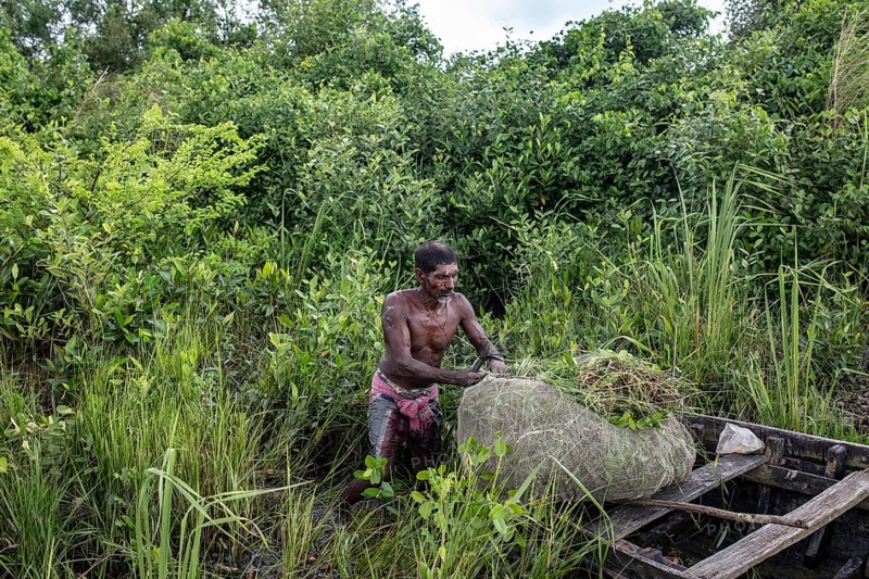 Honey collector with his boat