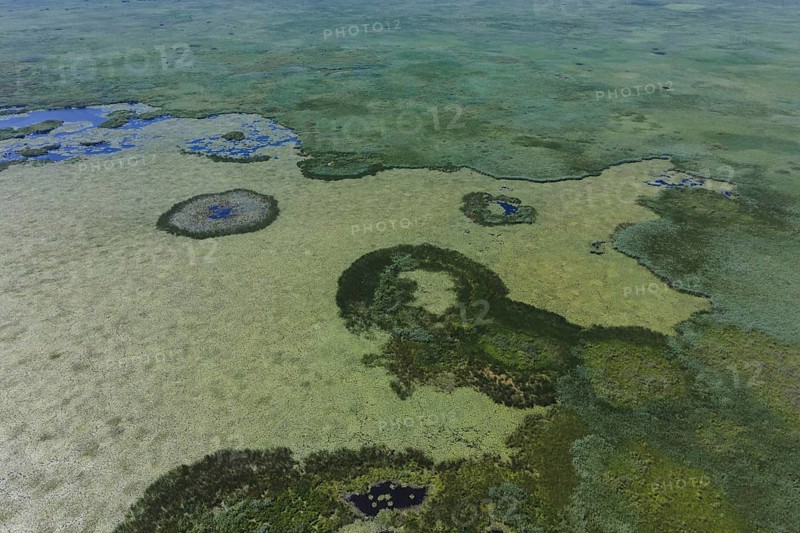 Aerial view on the lake covered with European white water lily
