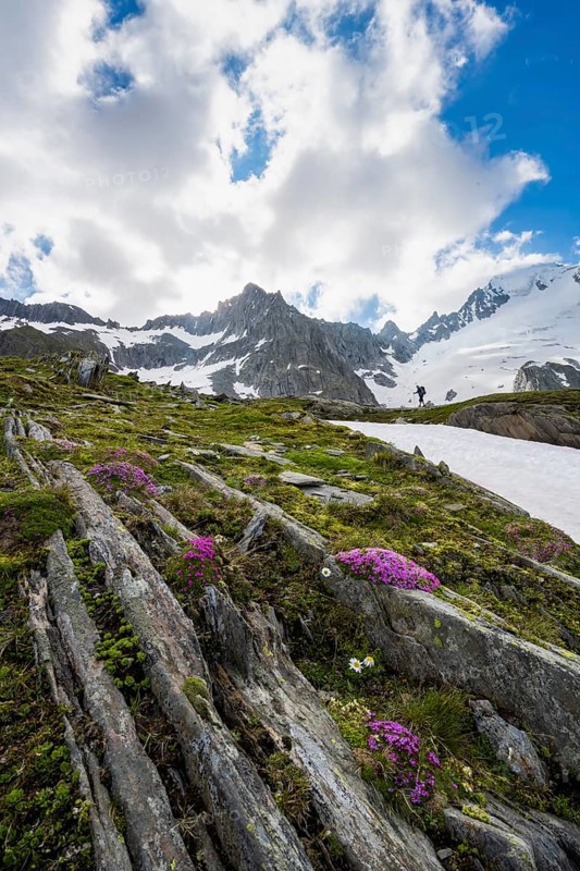 Hikers in front of snow-covered mountains