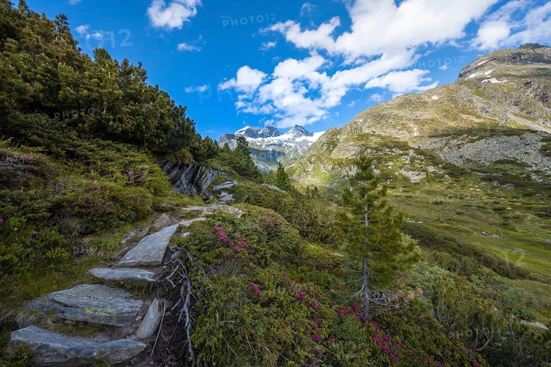 Hiking trail