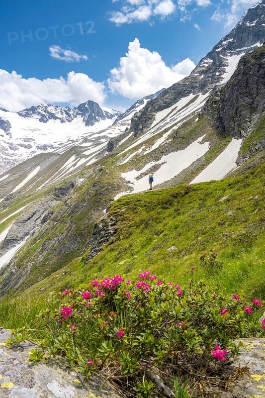Hiker on the descent from the Moerchnerscharte to the Greizer Hut