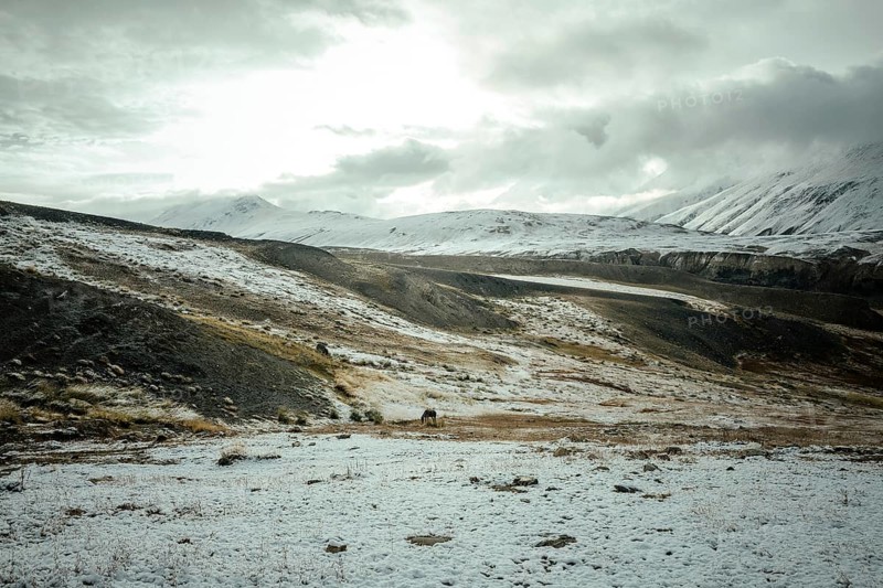 A horse grazing on a plateau in the Walkhan Corridor