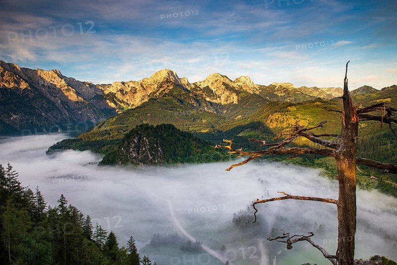Almsee im Nebel
