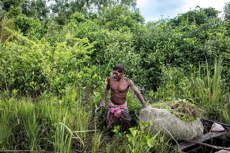 Honey collector with his boat