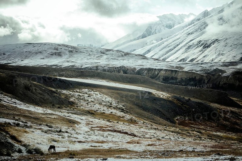 A horse grazing on a plateau in the Walkhan Corridor