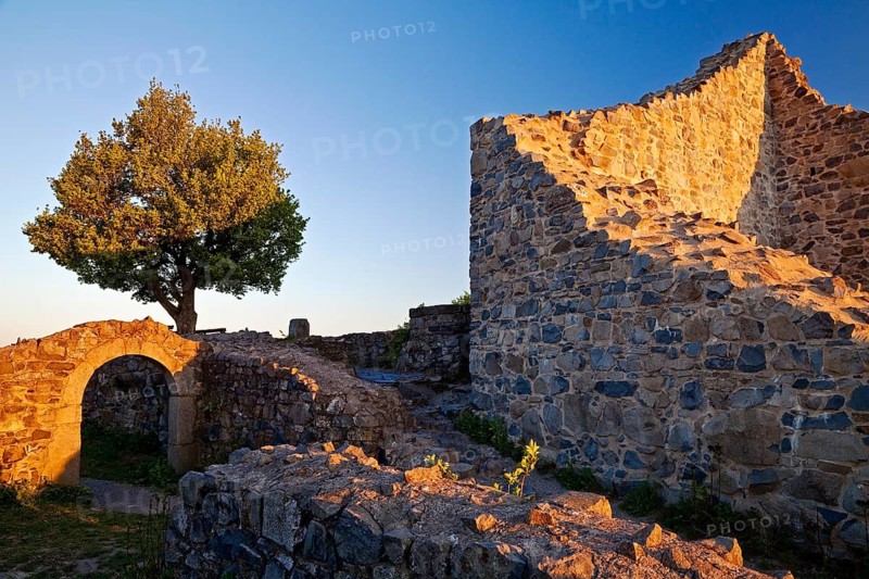 Ruin Loewenburg at sunrise