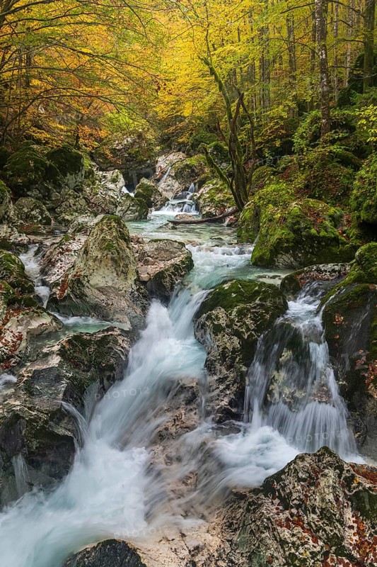 Torrent