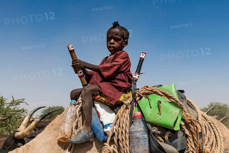 Little boy on a camel with a caravan of Peul nomads with their animals in the Sahel of Niger