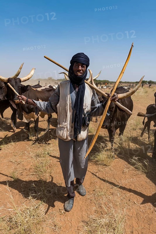 Caravan of Peul nomads with their animals in the Sahel of Niger