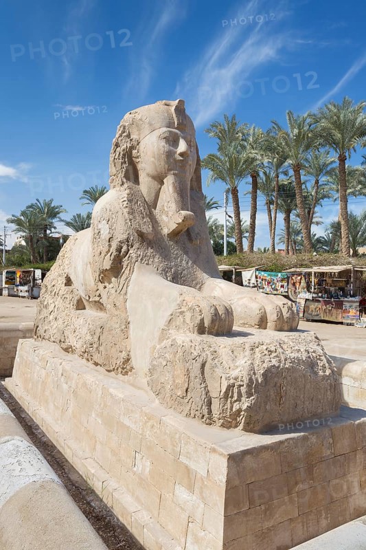 The Memphis sphinx