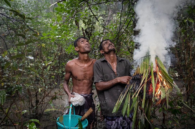 Two honey collectors after lighting damp perennials and leaves with fire accelerant to produce smoke