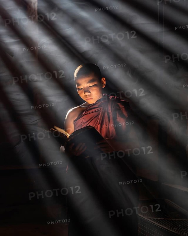 Buddhist young monk in red robe reading standing in front of rays of light in a temple