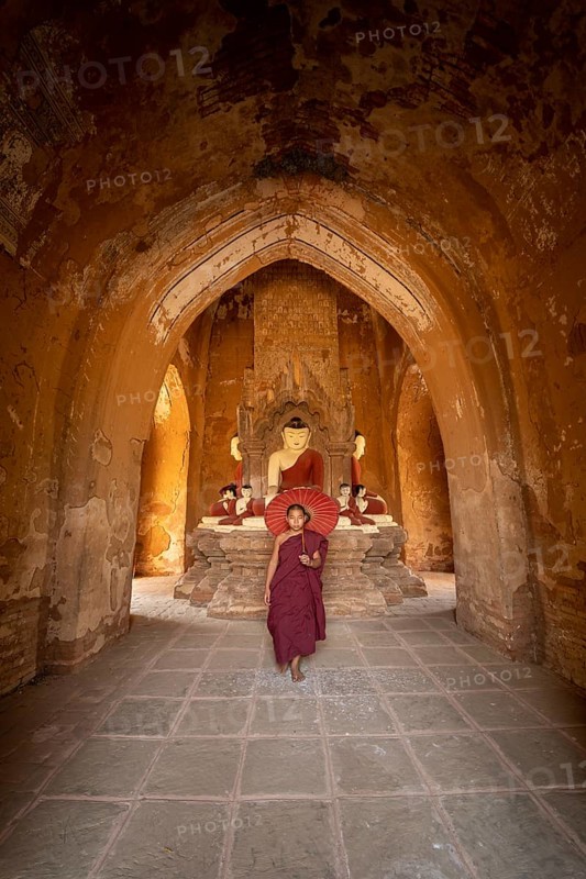 Buddhist young monk in red robe with red umbrella walks in a temple