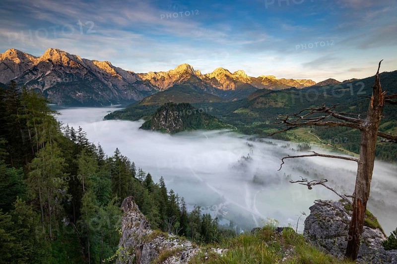 Almsee im Nebel