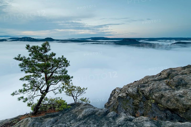 Fog in the Elbe valley