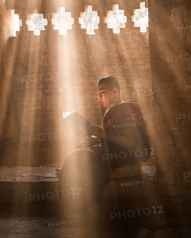 Buddhist young monk in red robe reading sitting in front of rays of light in a temple