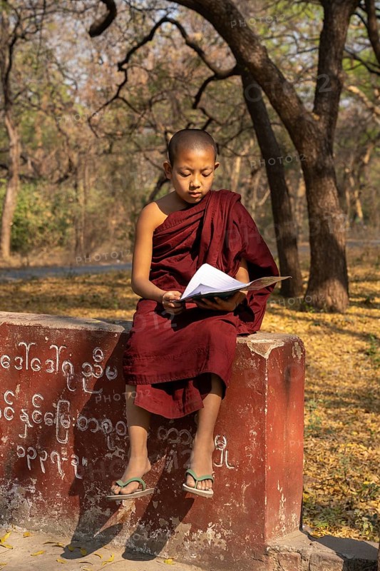 Child monk with red robe reading on a red wall