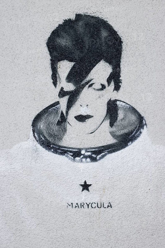 Stencel David Bowie as Ziggi Stardust