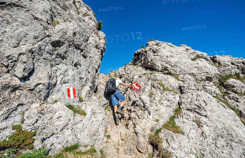 Mountaineer