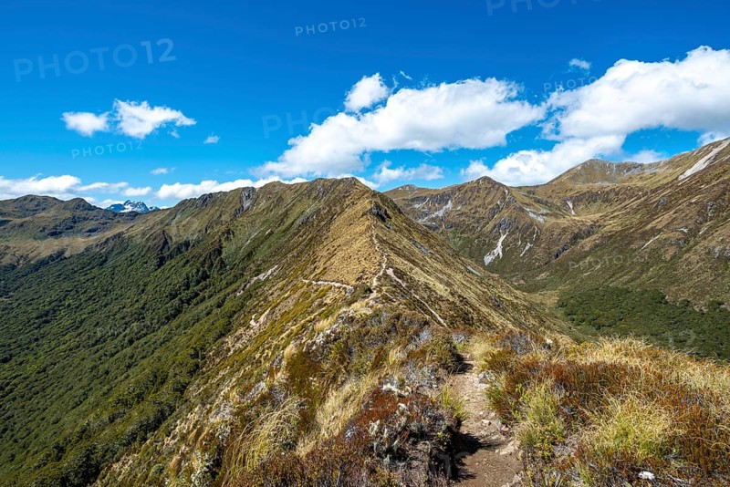 Kepler Track