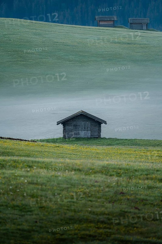 Single hut on foggy meadow