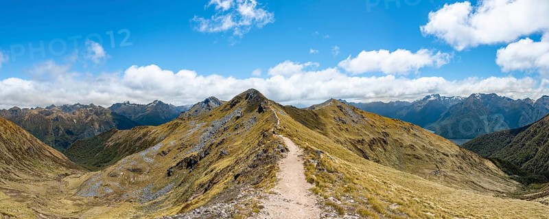 Kepler Track