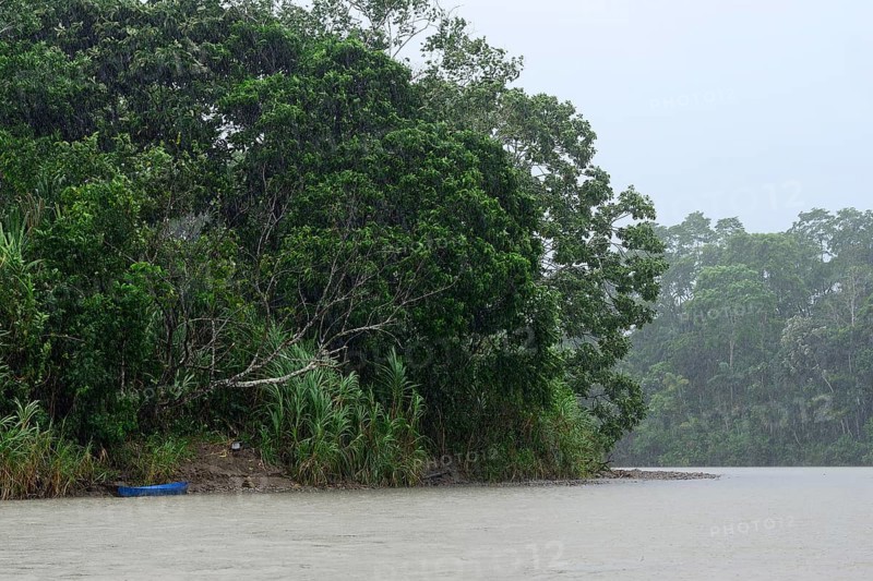 Rio Napo in pouring rain