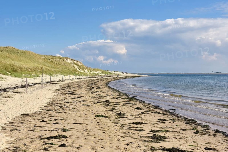 Shore of the Wadden Sea at Odde