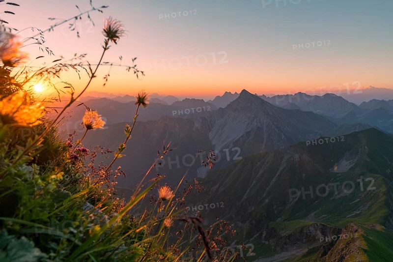 Sunrise over Lechtal Alps with faded alpine cowbell
